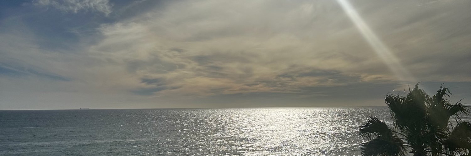 princssbub's profile banner image