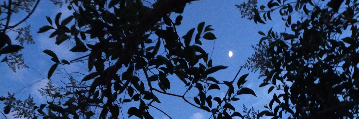 MaelLL10's profile banner image