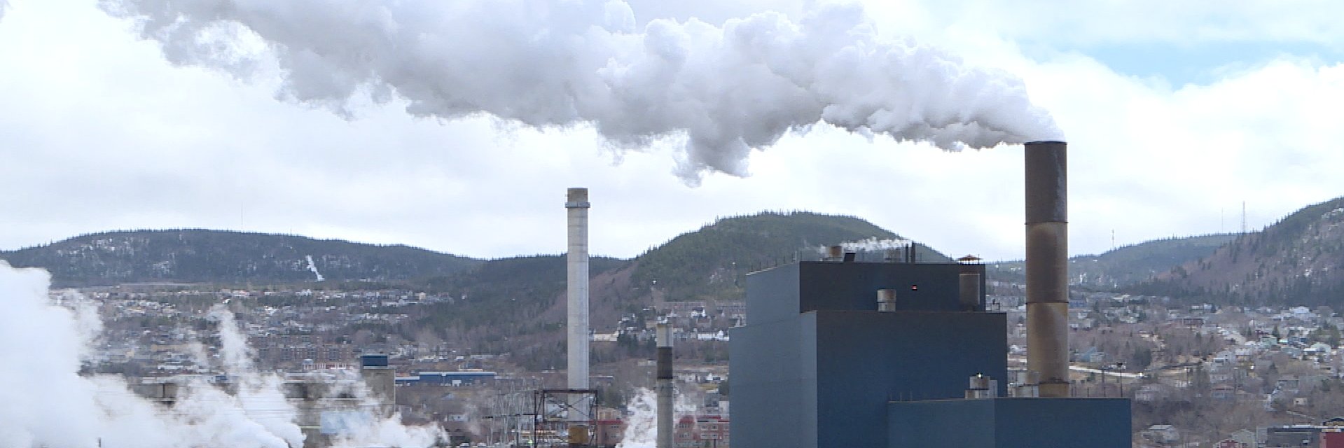 Colleen Connors banner