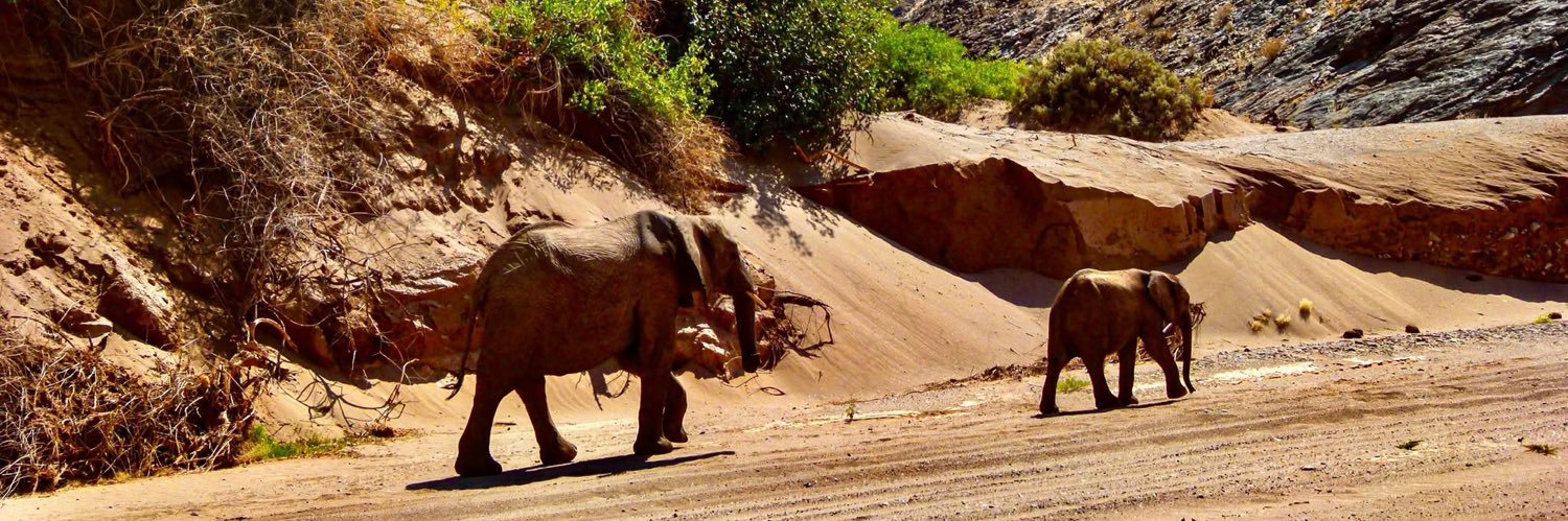 Gerson Musewa banner