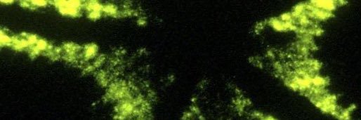 m_duncan970's profile banner image