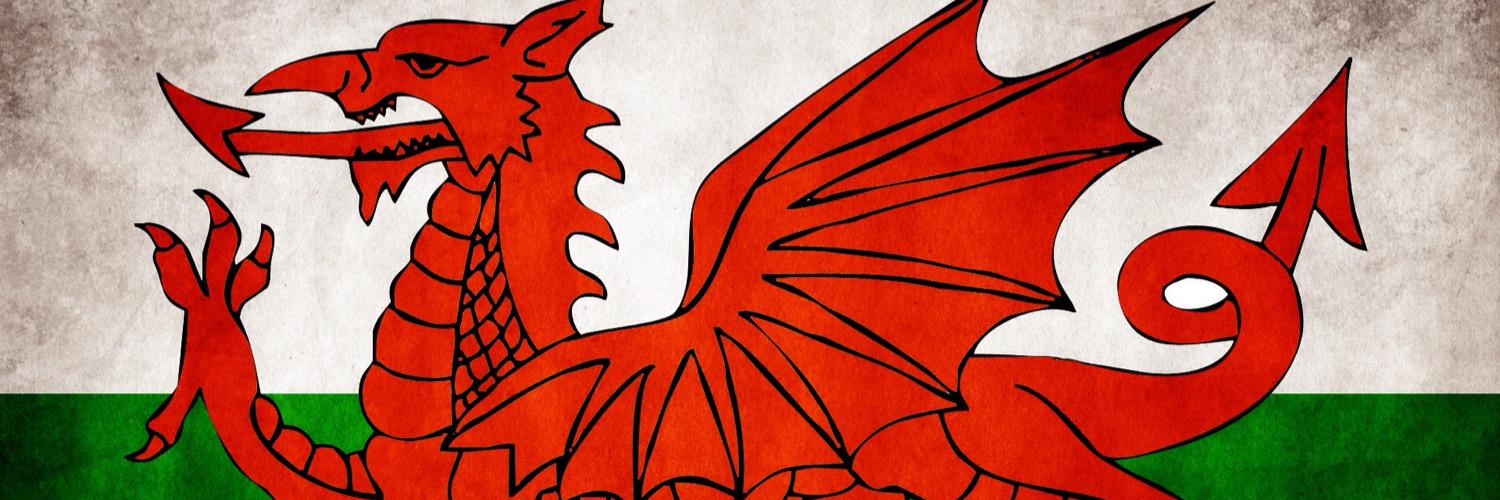 seanygriff1's profile banner image