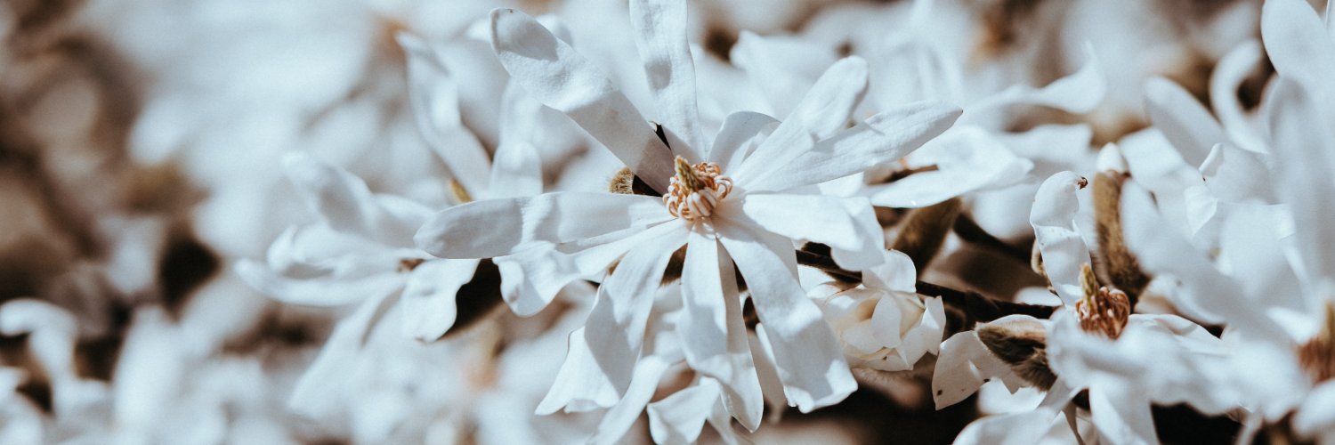 SamanthaMarimo's profile banner image