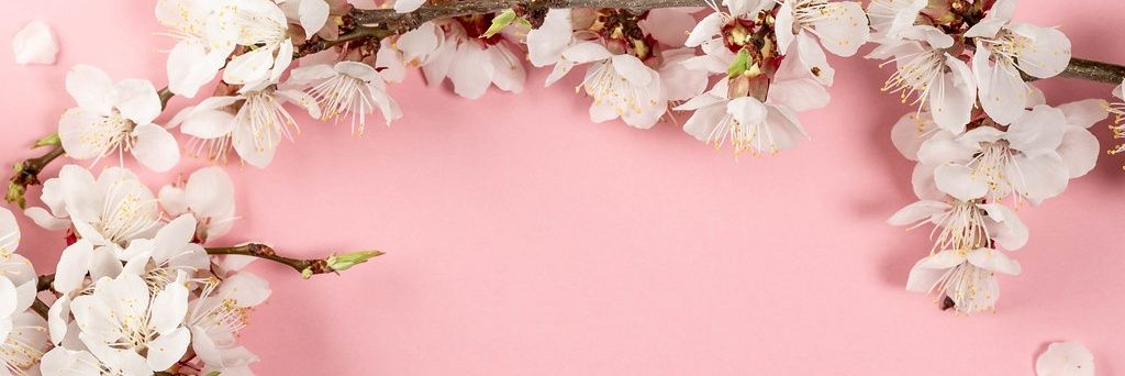 Beth Cartlidge banner
