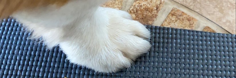 jackiie89's profile banner image