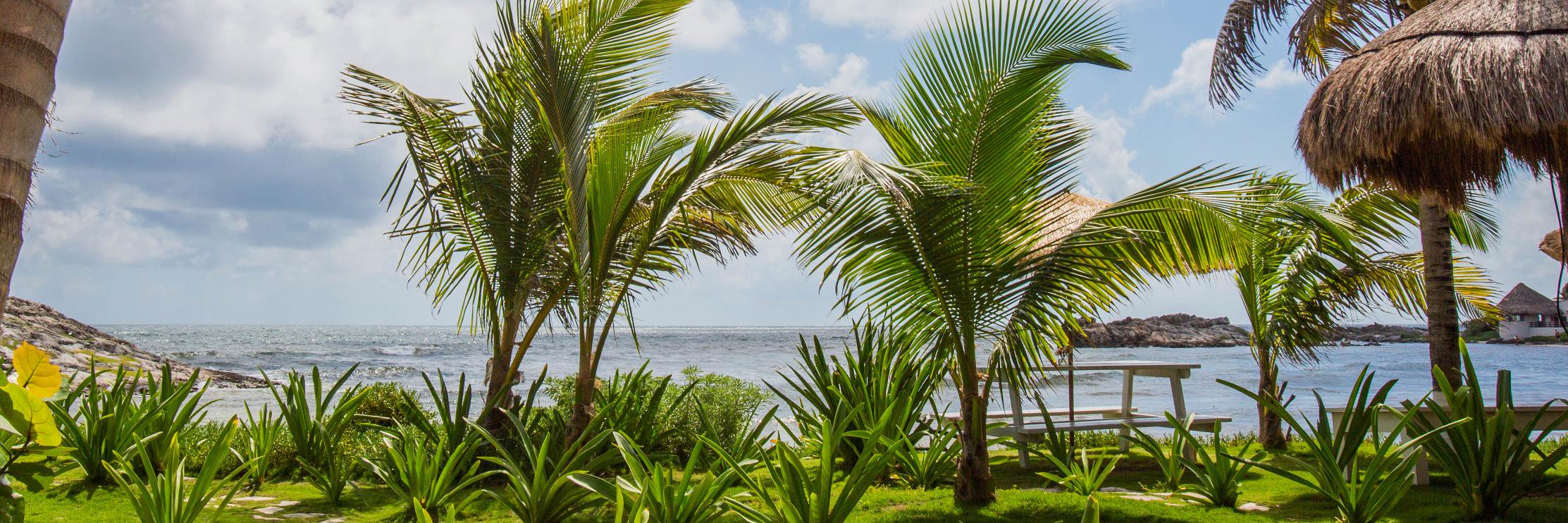 El Pez Tulum banner