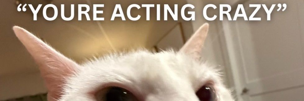 Snowfox_mkv's profile banner image