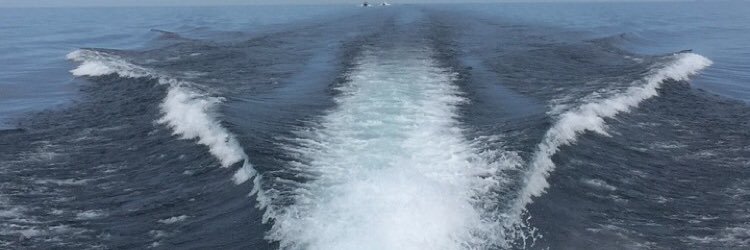 ElleMaricque's profile banner image