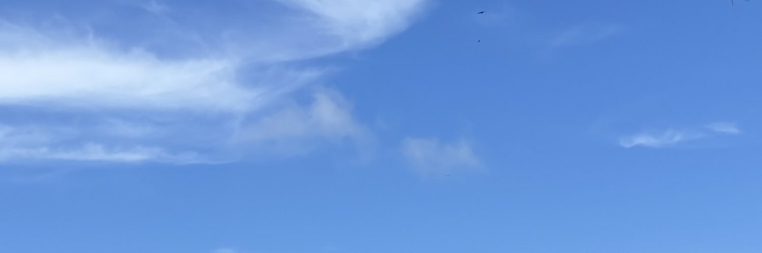 RafaellaGuadagn's profile banner image