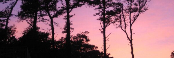 ktkjohnston Profile Banner