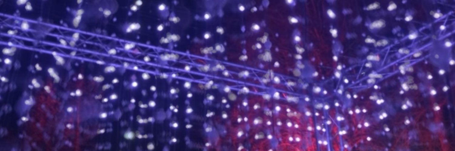 AlisoneRoberts's profile banner image