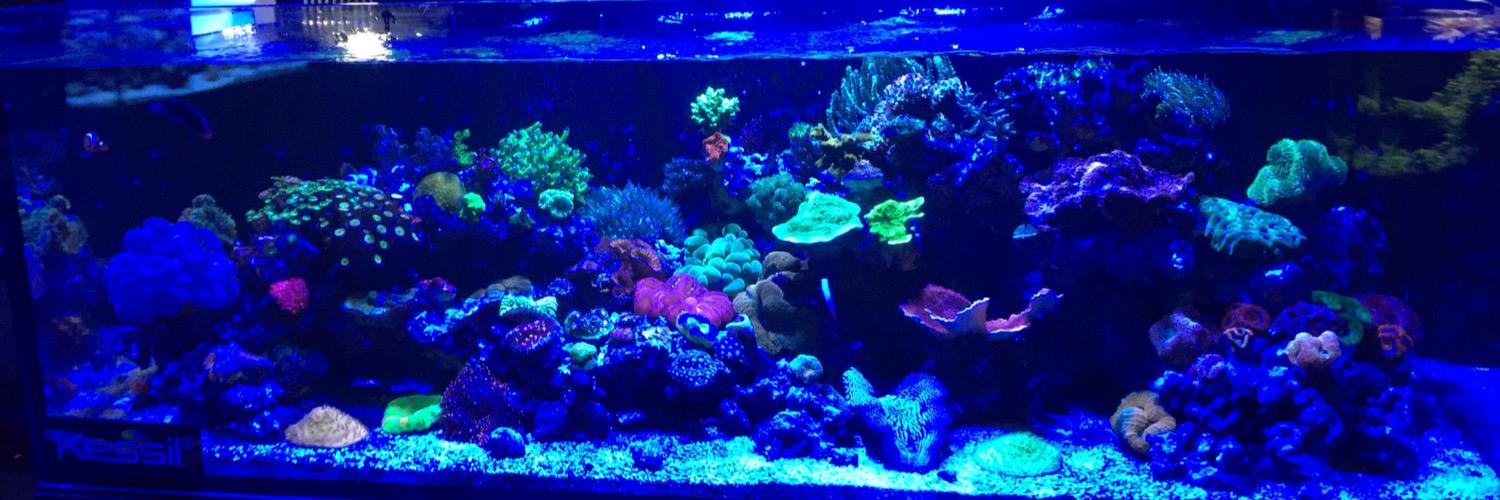 Kessil's profile banner image
