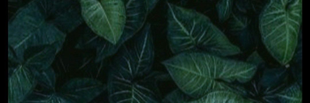 FaithGetz's profile banner image