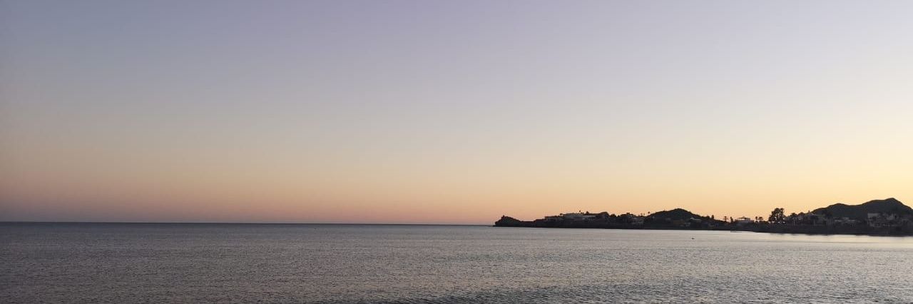 ElJavimerino's profile banner image