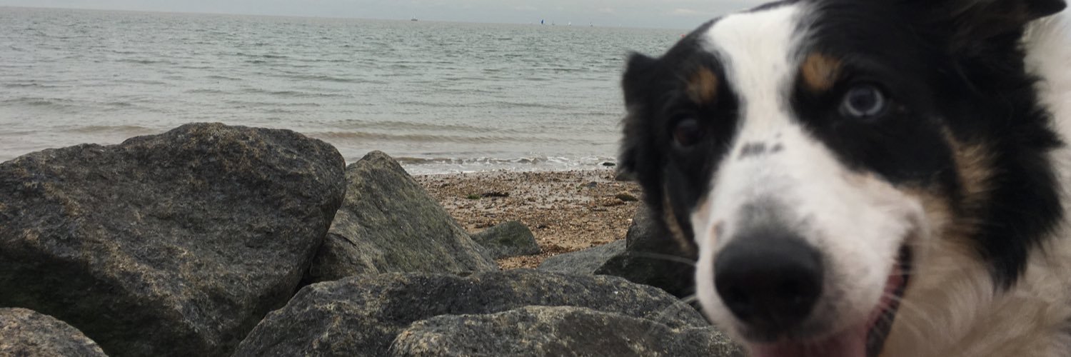 AidanMSRadio's profile banner image