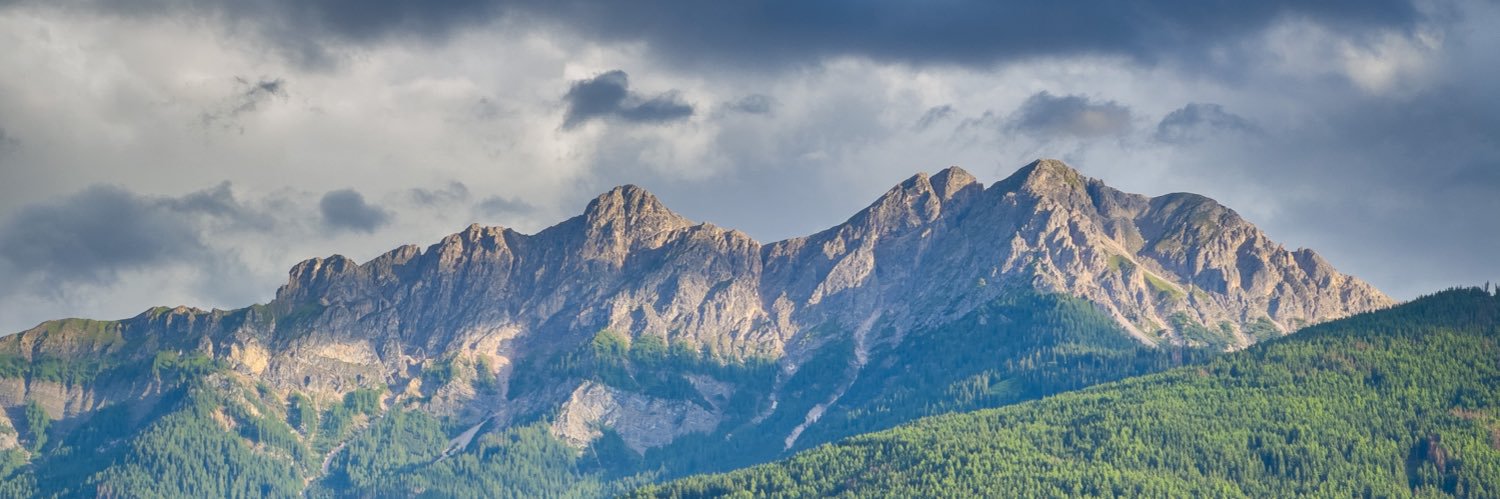 Falk🌲⛰ banner