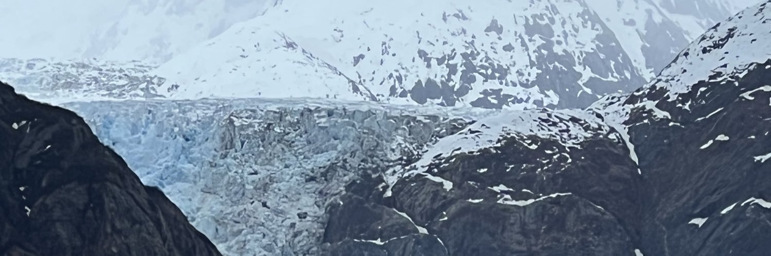 Nadia Shields banner