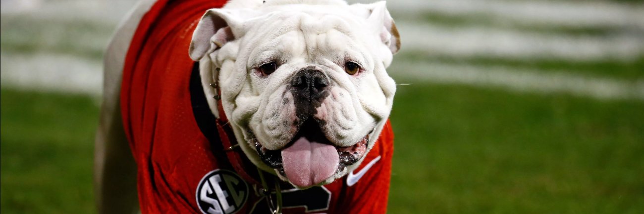 UGA Vault banner