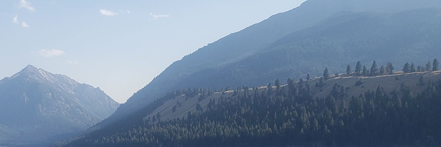 quinn_morris's profile banner image