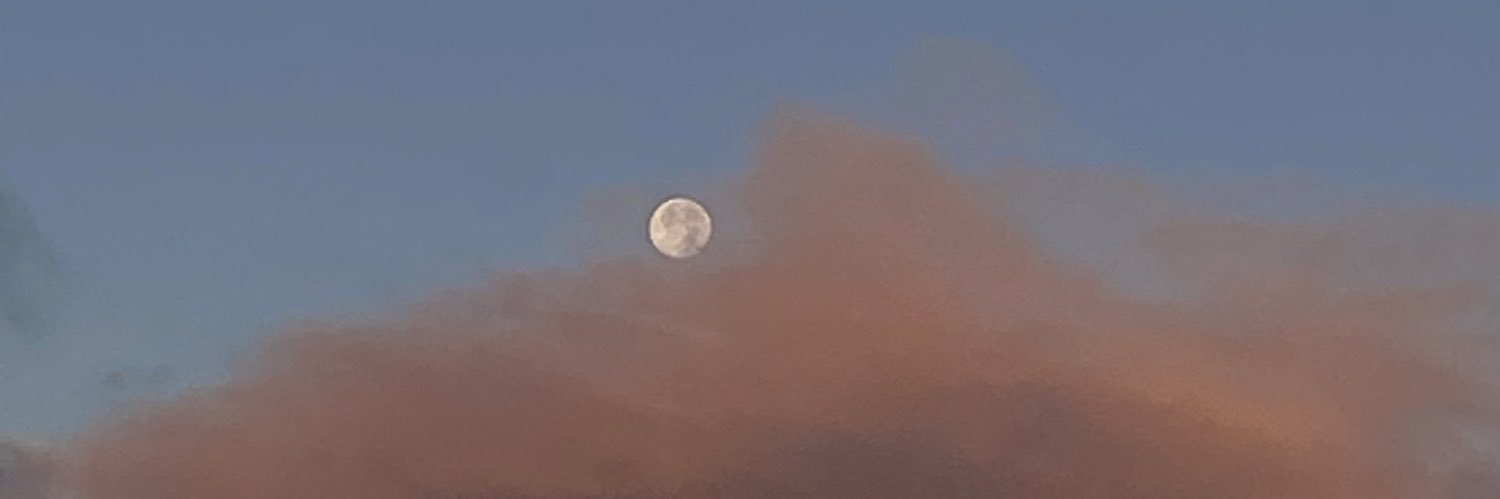 cryslyss's profile banner image