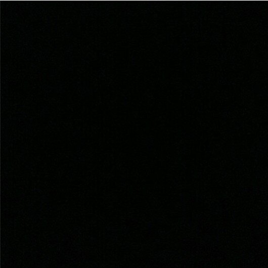 WhyTheCagedBirdSings banner