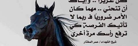 atefabdegbary's profile banner image