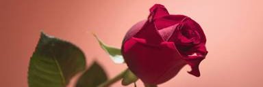 VictoriaPierce7's profile banner image