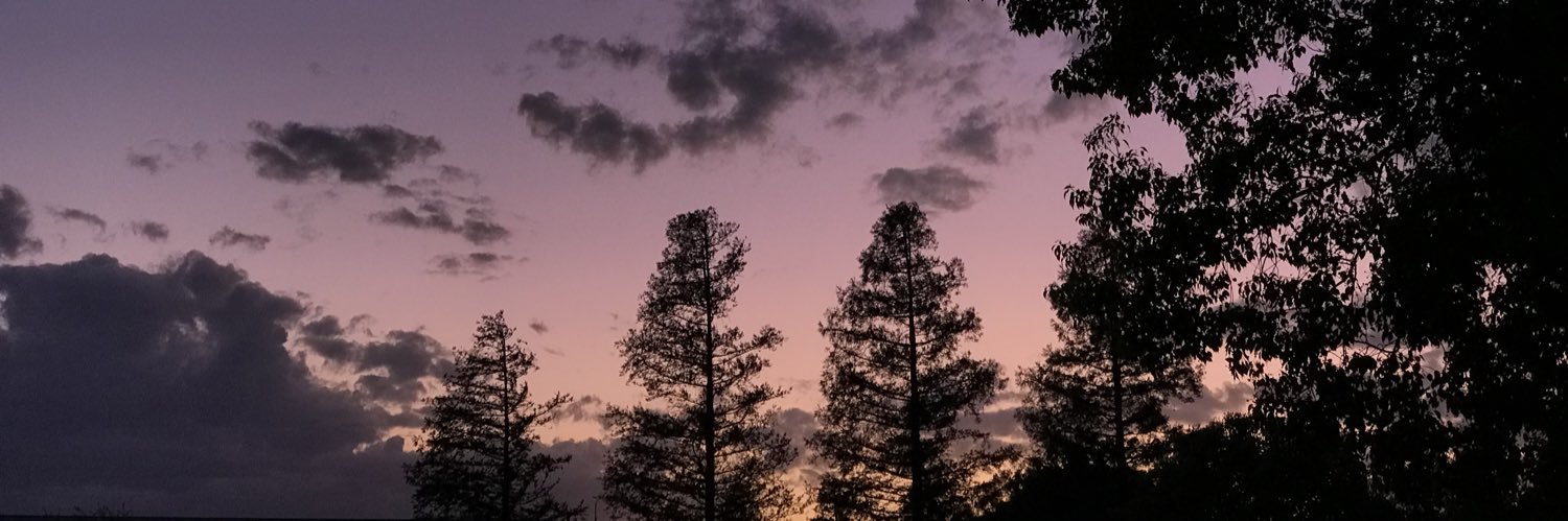 ReaperWrites's profile banner image