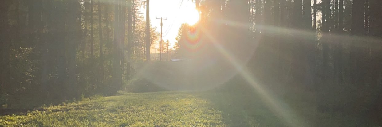 alishamercdes's profile banner image