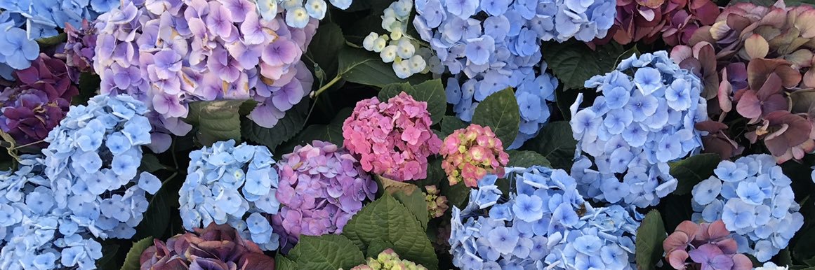 tayylorr_w's profile banner image