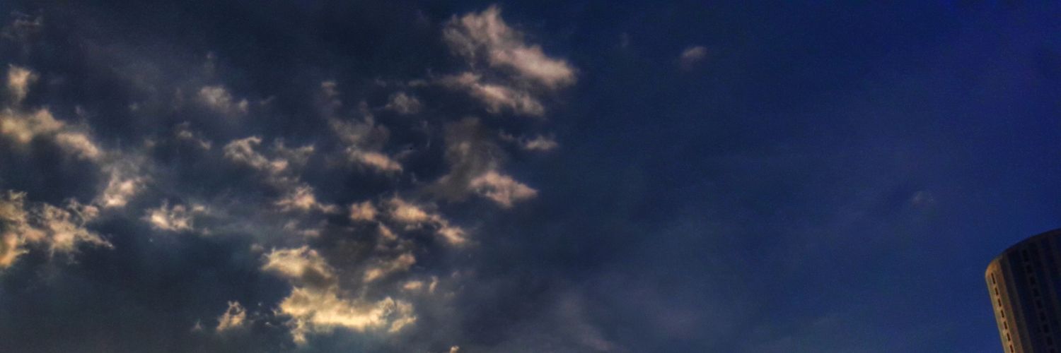 elfsehr's profile banner image