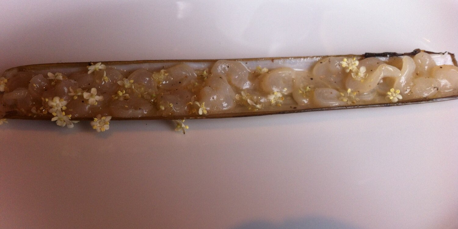 Frederique Hancock banner