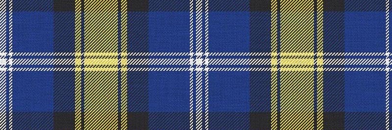thistle31's profile banner image
