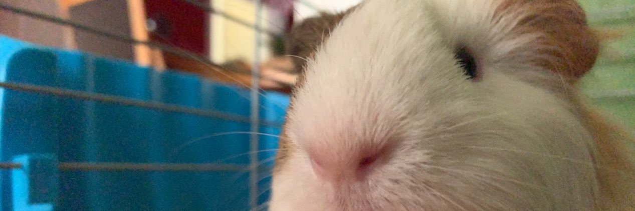 meemejay's profile banner image