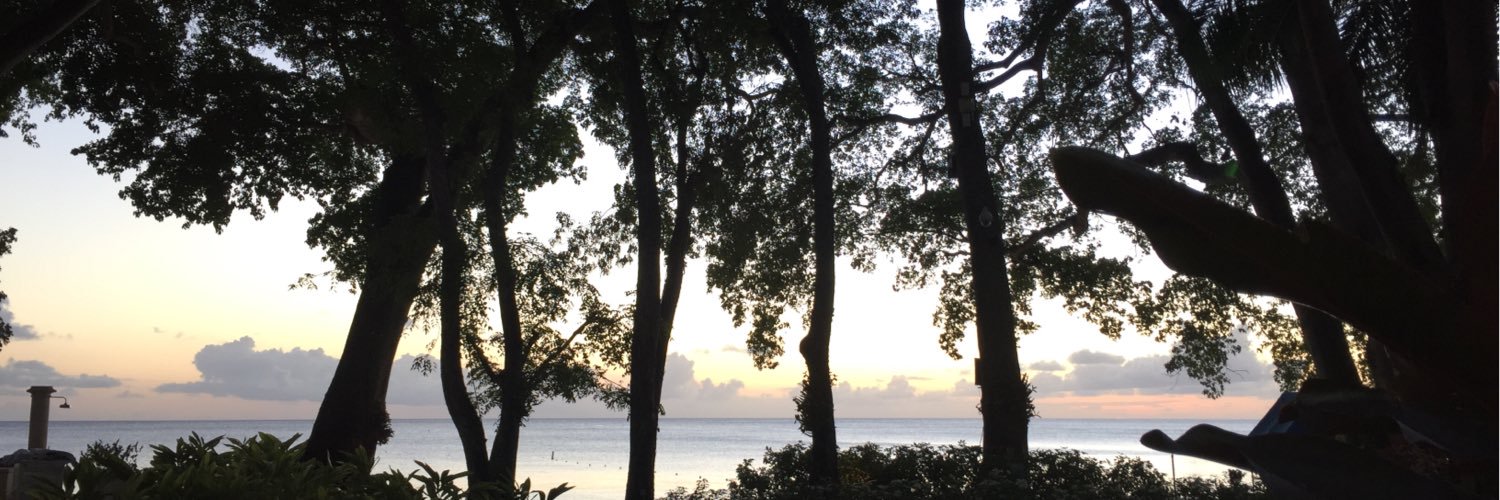 Christabel Cowling banner