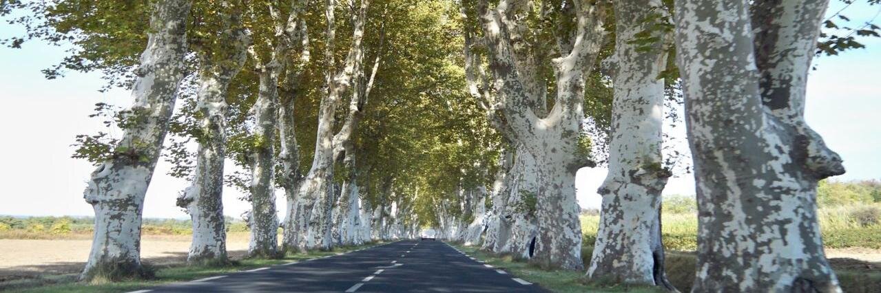 Jennifer Fisk 🇨🇦 banner