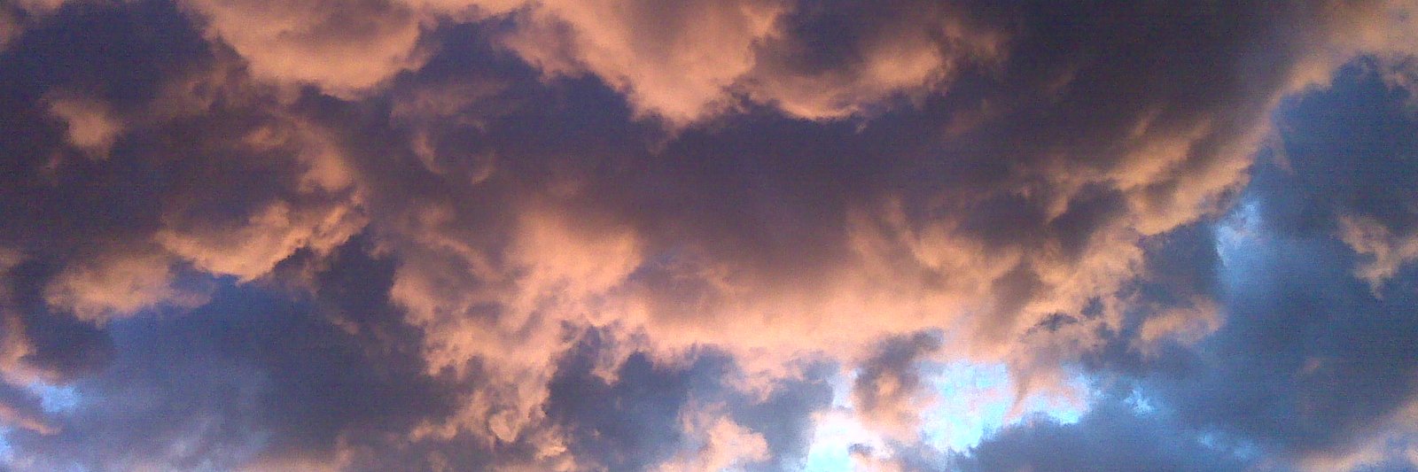 Emily DiCarlo banner