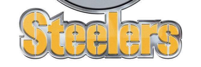 SteelerFan1966 banner