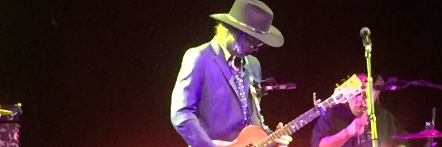 claire beharrell banner