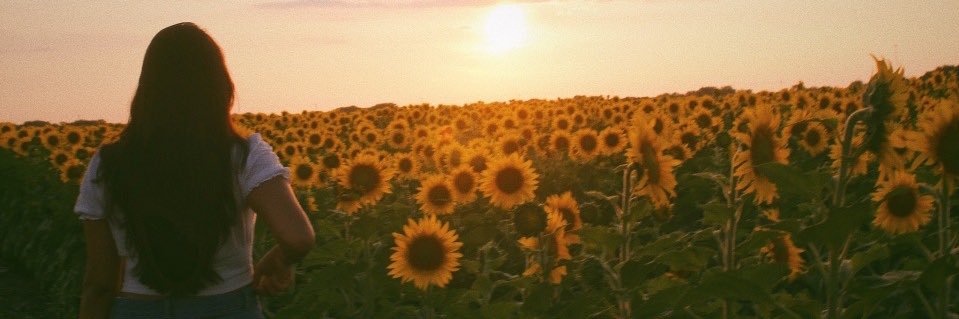 PalamaR2030's profile banner image