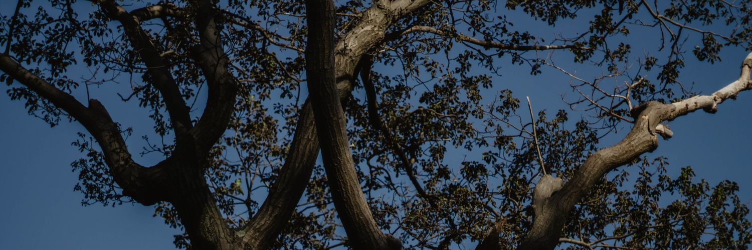 KenzieSkyler14's profile banner image