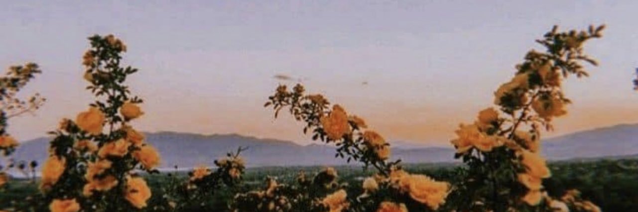 beaniebabelou's profile banner image