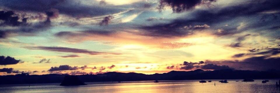 Fleur O'Sullivan banner