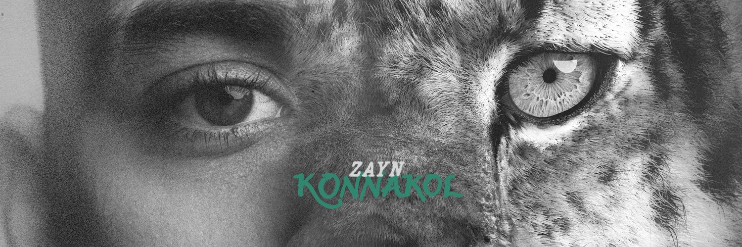 Julia Baffini | KONNAKOL 🐆 💚 banner