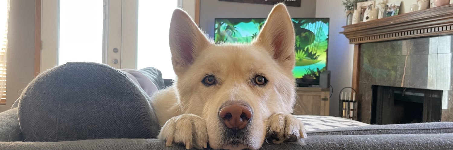 apesmariee's profile banner image