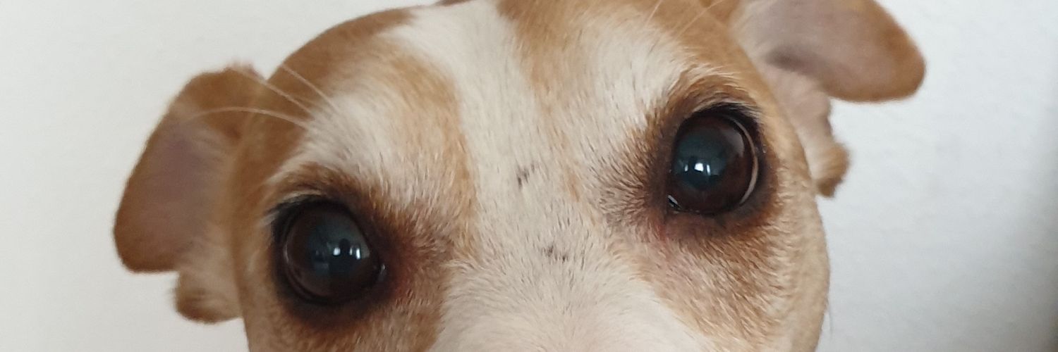 Chunly86's profile banner image