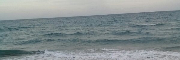 Bryce_Cohen Profile Banner