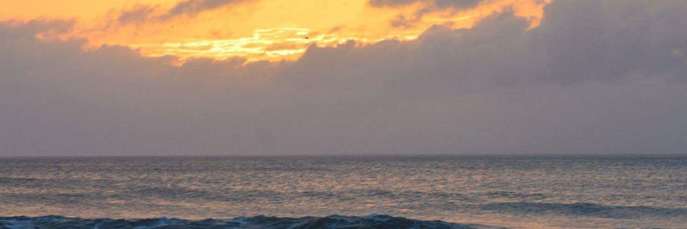 BeckyBear025's profile banner image