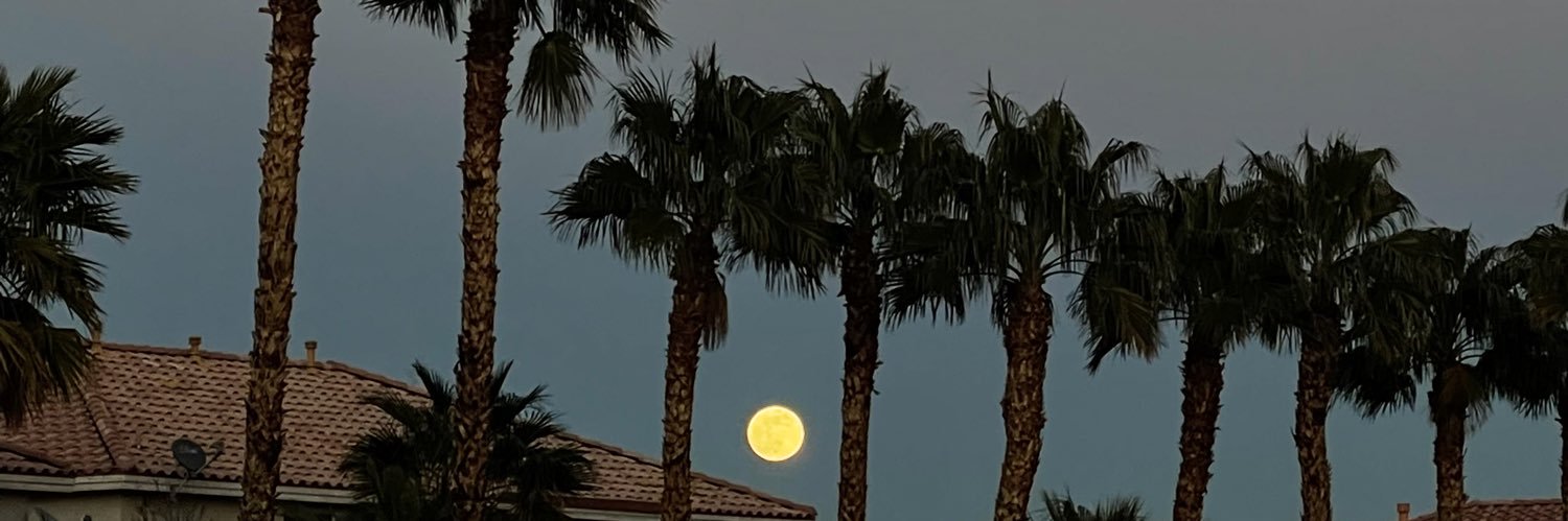 jada_bizzle's profile banner image