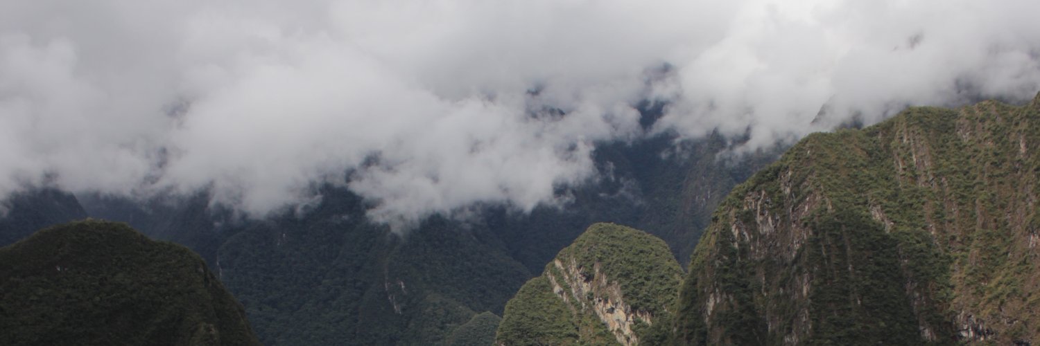 verdeava's profile banner image